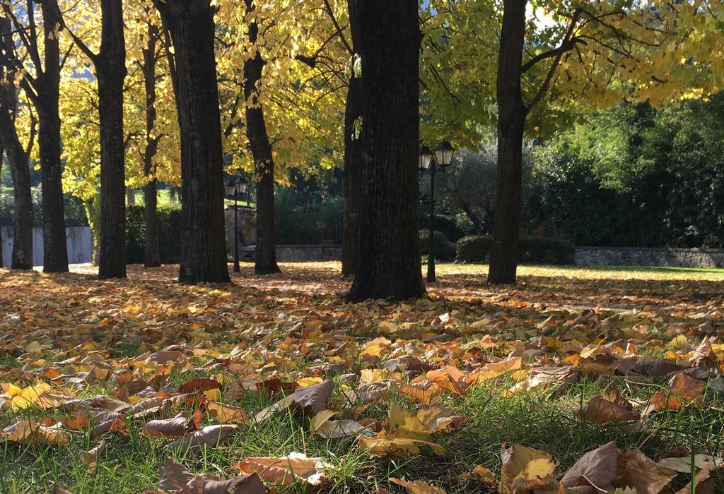 Agriturismo Al Colle Del Ciliegio Villa Rovolon ภายนอก รูปภาพ