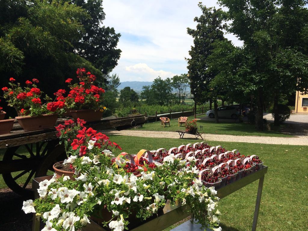 Agriturismo Al Colle Del Ciliegio Villa Rovolon ภายนอก รูปภาพ
