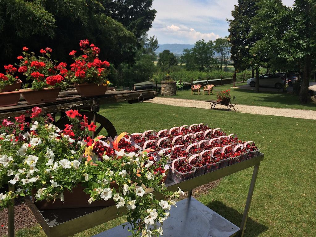 Agriturismo Al Colle Del Ciliegio Villa Rovolon ภายนอก รูปภาพ