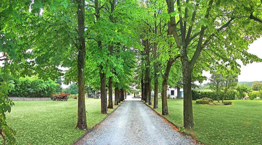 Agriturismo Al Colle Del Ciliegio Villa Rovolon ภายนอก รูปภาพ